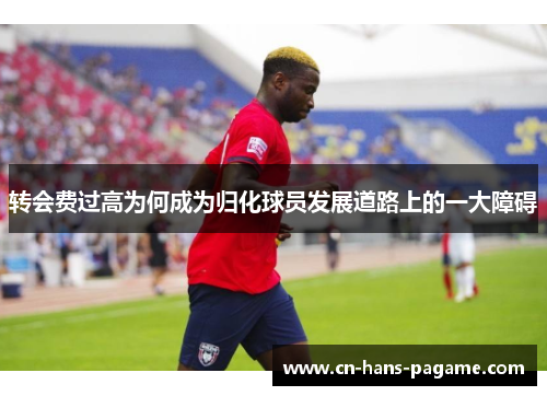 转会费过高为何成为归化球员发展道路上的一大障碍